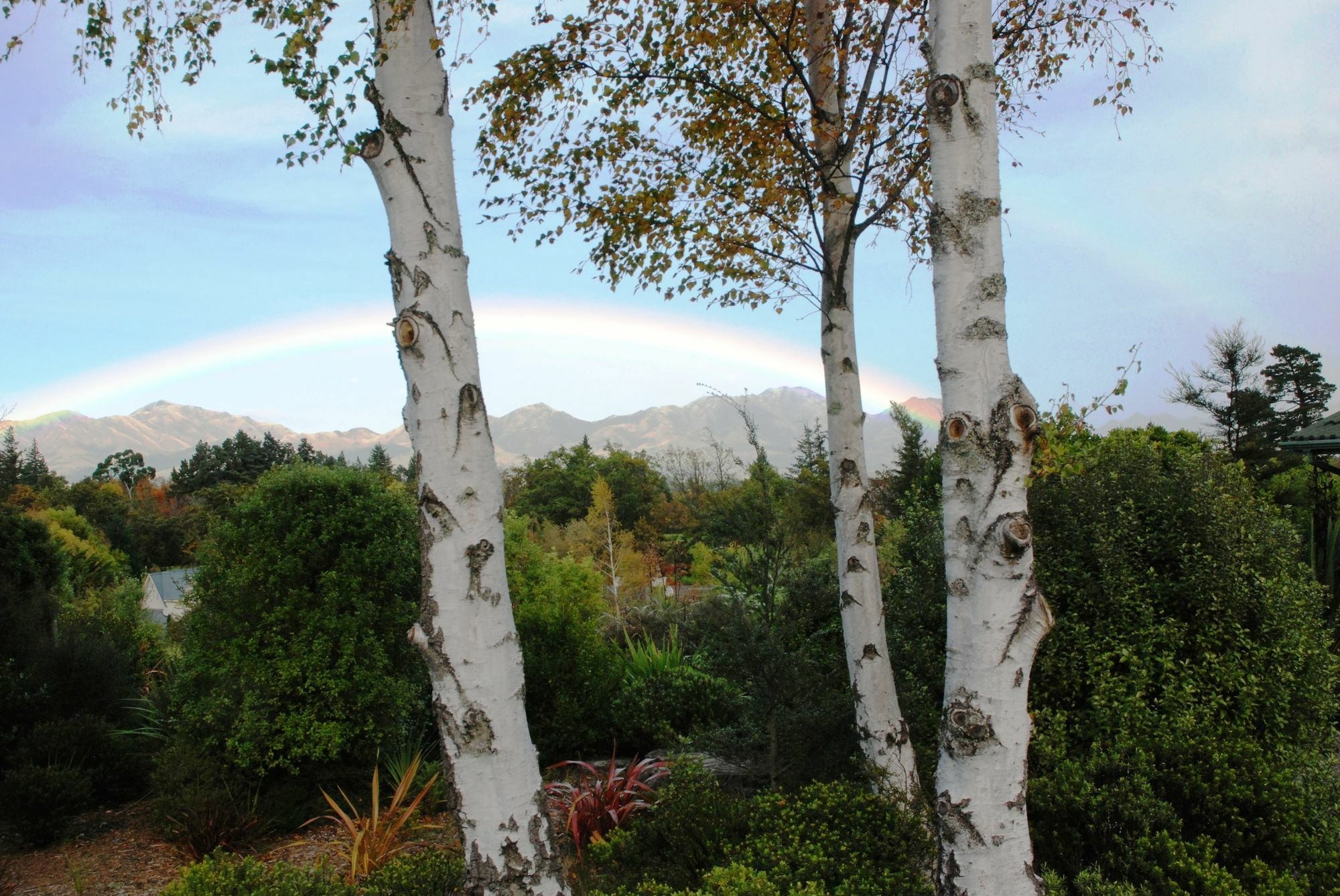 The Chalets Motel Hanmer Springs Εξωτερικό φωτογραφία